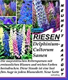 25x Riesen Delphinium-Cultorum Mix Samen Garten Neu 2016 Pflanze Rarität #157