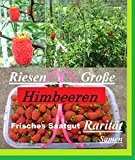 25x Riesen Himbeeren Samen Saatgut Pflanze Rarität essbar Obst Selten essbar Neuheit #131