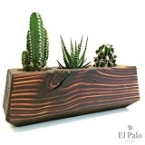 3 Kakteen + Topf aus Holz - El Cactus 3.0 - Braun - El Palo Germany