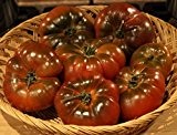 3 Sorten schwarze, russische Tomaten Samen mit Black Prinz aus Sibirien Giant