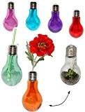 3 Stück _ Dekogläser / Gläser - " Glühbirne - Lampe - bunte Farben " - Vase - Hydrokultur - ...