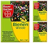 3 x 50 g Bayer Garten Bienenweide Saatgutmischung Blumensamen