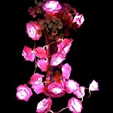 30 LED-Rosa Simulation Rose-Blumen-Fee-Schnur-Lichter löschen Kabel Batteriebetriebene für Valentinstag, Hochzeit, Schlafzimmer, Innendekoration