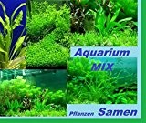 30x Aquarium Pflanzen Samen Mix Leichte Aussaat Neu 2016 Neue Sorte Samen Seltene Pflanze Rarität selten #206