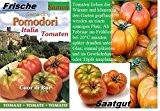 35x Pomodori Tomaten Marinda ITALIA Samen Pflanze Rarität Garten Saatgut Gemüse essbar Neuheit #120