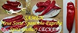 35x Spanische Paprika Spitz Sorte Samen Saatgut Hingucker Pflanze Rarität essbar Gemüse Neuheit #67