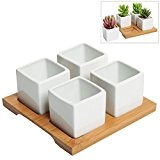 4 Stück Modern weiß Mini Würfel, Keramik Sukkulente Pflanzgefäße/Blumentöpfe W/Bambus Tablett - MyGift