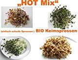 400 g BIO Keimsprossen Mischung "HOT MIX" Keimsaat 4 x 100 g Samen für die Sprossenanzucht (Radies, Senf, Daikon-Rettich, Bockshornklee)
