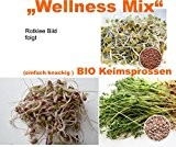 400 g BIO Keimsprossen Mischung "Wellness MIX" Keimsaat 4 x 100 g Samen für die Sprossenanzucht (Rotklee, Daikon-Rettich, Mungobohnen, Linsen)