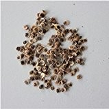 40PC China bunte Malve seeds.8 Arten Mixed Blumensamen. Gartenpflanzen