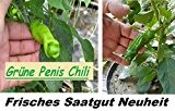 40x Grüne Penis Chili Pflanze Samen Lustige Chili Saatgut Garten scharf Neuheit Frisch #19