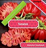 40x Mexikanische Tomaten Samen Saatgut Pflanze Rarität Gemüse essbar lecker Neuheit #50