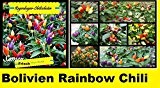40x Regenbogen Chili Samen Hingucker Pflanze Garten Saatgut Rarität Gemüse Chili schoten Mix Bunt Neuheit #28