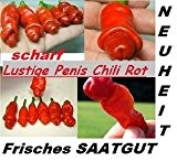 40x Rote Penis Chili Pflanze Lustige Chili Samen Hingucker Peter-Pepper 2016 Gemüse RAR #17