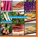 40x Samen von 9 verschiedene Sorten Karotten Hingucker Pflanze Saatgut Rarität Garten Möhren Gemüse #102