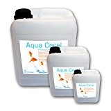 5 Liter Aqua Ceral Milchsäurebakterien, probiotische Filterbakterien, Starterbakterien, Koi, Teich