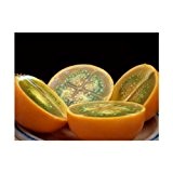 5 Samen Solanum quitoense - Naranjilla , Lulo, kaum erhältliche Früchte, lecker