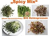 500 g BIO Keimsprossen Mischung "Spicy MIX" Keimsaat 5 x 100 g Samen für die Sprossenanzucht (Senf, Linsen, Mungobohnen, Daikon-Rettich, ...