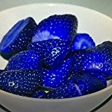 500 Stück Blue Climbing Erdbeeresamen Baum-Samen, sehr lecker Fruchtsamen für Heim & Garten Bonsai Samen, Geschenk des AS10 Kiwi