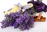 50pcs 100% echte Frische Lavendel sät Purpurrote Blume Pflanzensamen