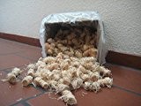 5kg Bioanzünder Kaminanzünder bis zu 400Stück Holzwolle