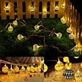 5m 20 LED Ball Lichterkette String Lights für Außen Landschaft, Terrasse, Garten, Schlafzimmer, Camping, Weihnachtsfest, Hochzeit