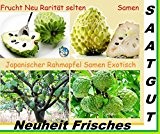 5x Japanische Rahmapfel Samen exotisch Früchte Hingucker Obst Pflanze Baum Rarität essbar lecker #179