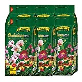 6 Sack Orchideenerde á 5L = 30 Liter BODENGOLD Premium Blumenerde für Orchideen