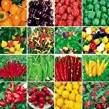700PC weltweit umfassendste Vier Arten von Gemüse und Obst Samen. (RADISH, Auberginen, Paprika, Tomatensamen) Bunte Garten