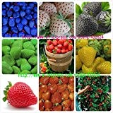 9kinds Erdbeersamen, weiß, gelb, blau, schwarz, rot, grün, große Erdbeeren, klettern, insgesamt 900 Samen Obstgarten plants.bonsai