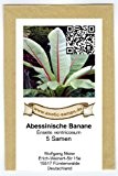 Abessinische Banane - Ensete ventricosum - 5 Samen