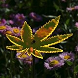 Acrylglas Sonnenfänger Cannabisblatt 14cm neon transparent fluoreszierend mit 100cm Stab - Farbauswahl - Suncatcher, Farbe:neonorange