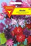 Akelei, Aquilegia vulgaris, hybrida, ca. 100 Samen