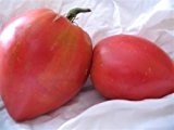 Alte Russische Tomate -Anna Russian- 10 Samen
