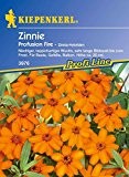 Amazon.de Pflanzenservice 910261 Kiepenkerl Zinnien, Zinnia elegans Profusion Fire