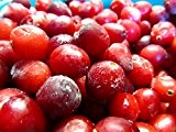 American Cranberry, Preiselbeere, Vaccinium macrocarpon, 50 Samen