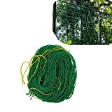 amgateeu Nylon-Gitter Netz Pflanze Unterstützung für Kletterpflanzen, Rebe und Veggie Spalier Net