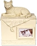 Angelstar Pet Box Urne Katze Geliebten Begleiter, Metall, Mehrfarbig