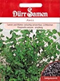 Anis, Pimpinella anisum, ca. 200 Samen