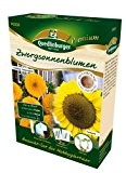 Anzucht-Set Zwergsonnenblumen Sunspot & Sonnengold