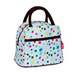 Aolevia Multifunctional Lunch Bag Wasserdichte Tasche Handtasche Picknicktasche Ideal für Outdoor (Style 4)
