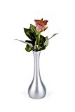 APS Vase -Edelstahl-Look- ca. Durchmesser 6,5 cm, Höhe 18 cm Zinkdruckguss, vernickelt, lackiert, anlaufgeschützt, schwere Ausführung