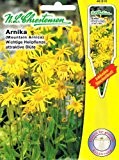 Arnika wichtige Heilpflanze attraktive Blüte Arnica montana