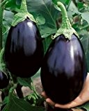 Aubergine Black Beauty - Eierfrucht - 100 Samen