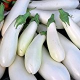 Aubergine "Super Weiss", bis zu 30 cm lange Früchte, 10 Samen