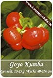 Auberginen Samen - 15 Stück - Goyo Kumba
