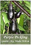 Auberginen Samen - 15 Stück - Purple Pickling