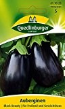 Auberginensamen - Aubergine Black Beauty von Quedlinburger Saatgut