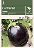 Auberginensamen - Eierfrucht Ophelia F1 von Flora Elite