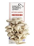 Austernpilze-Gemüsegarten zum selber Züchten - Das Kitchen Garden- Anbau-Kit